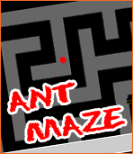 Ant Maze